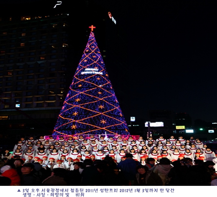 서울역 성탄트리01 복사.jpg