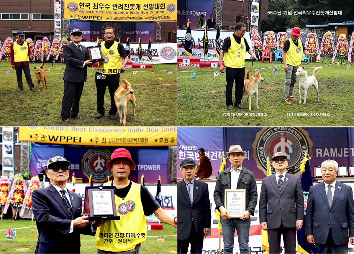 제72회 전국 최우수 진돗개 선발대회 합성.jpg