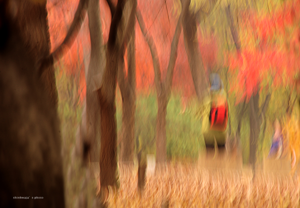 낙엽을 밟으며(크).jpg