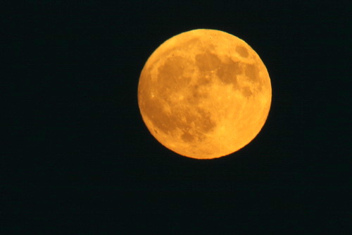 4-1 추석 보름달.jpg