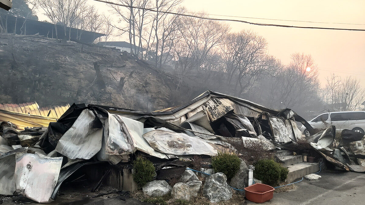 산불피해사진3.jpg