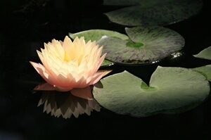 IMG_7845-44.JPG
