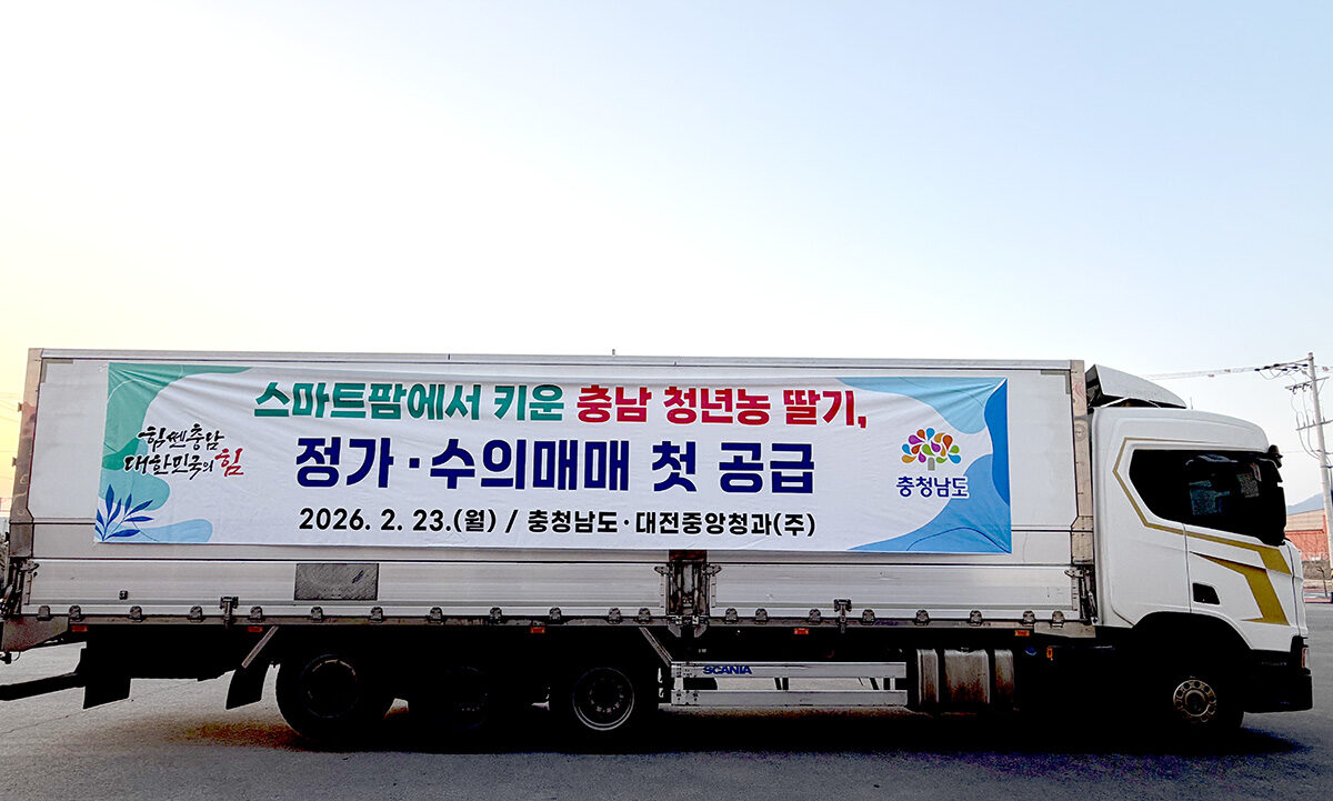 충남_청년농_딸기_정가수의매매_첫공급.jpg
