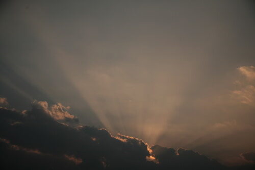 IMG_1746-02.jpg