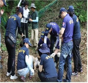 매장시체발굴03.jpg