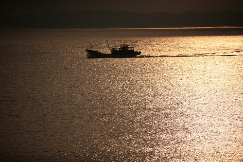 IMG_1704-03.jpg