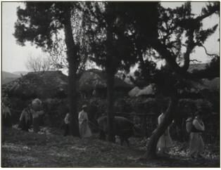 4. 장날풍경(1960년 사진).jpg