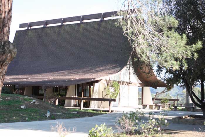 007.jpg