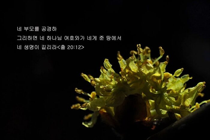 네 부모를 공경하라.jpg