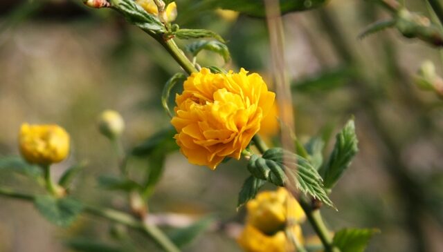 94859IMG_9068.jpg