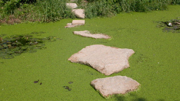 84400DSCN6043.jpg