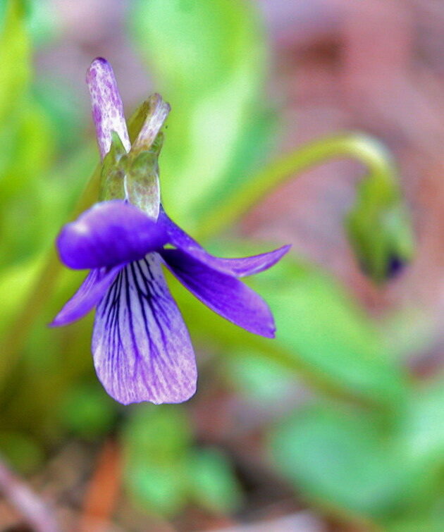 75320090612.jpg