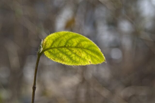 114903DSC_4882.jpg