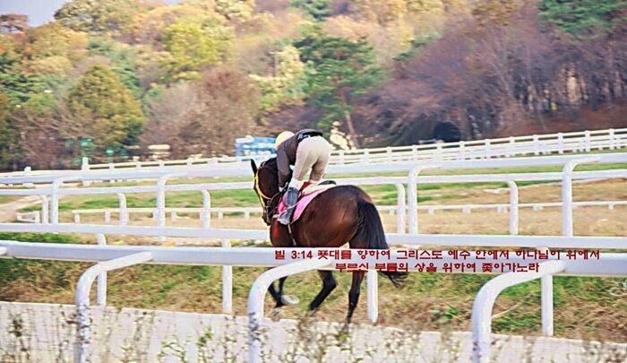 달리는 말01.jpg