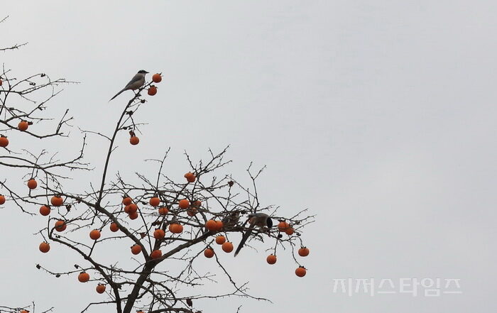 속초05-03.jpg