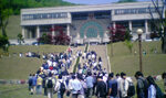 2010011527456399.jpg