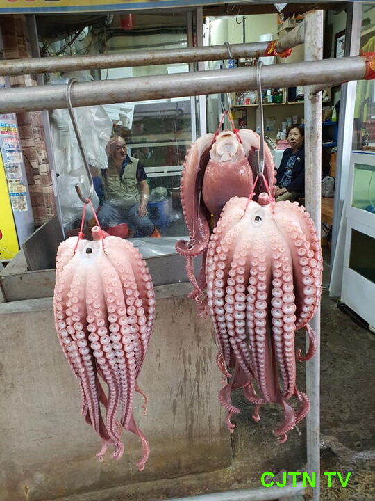 포항 낚지0-1.jpg