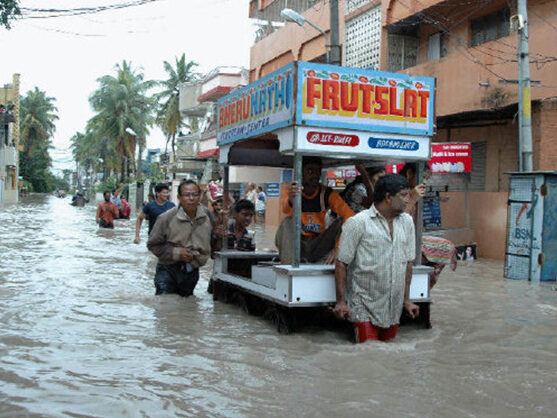flood2.jpg