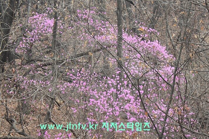 사본01.jpg