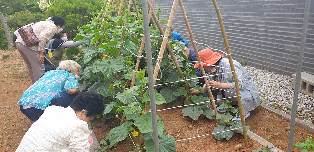 치매안심센터_프로그램_운영_모습1_4.jpg