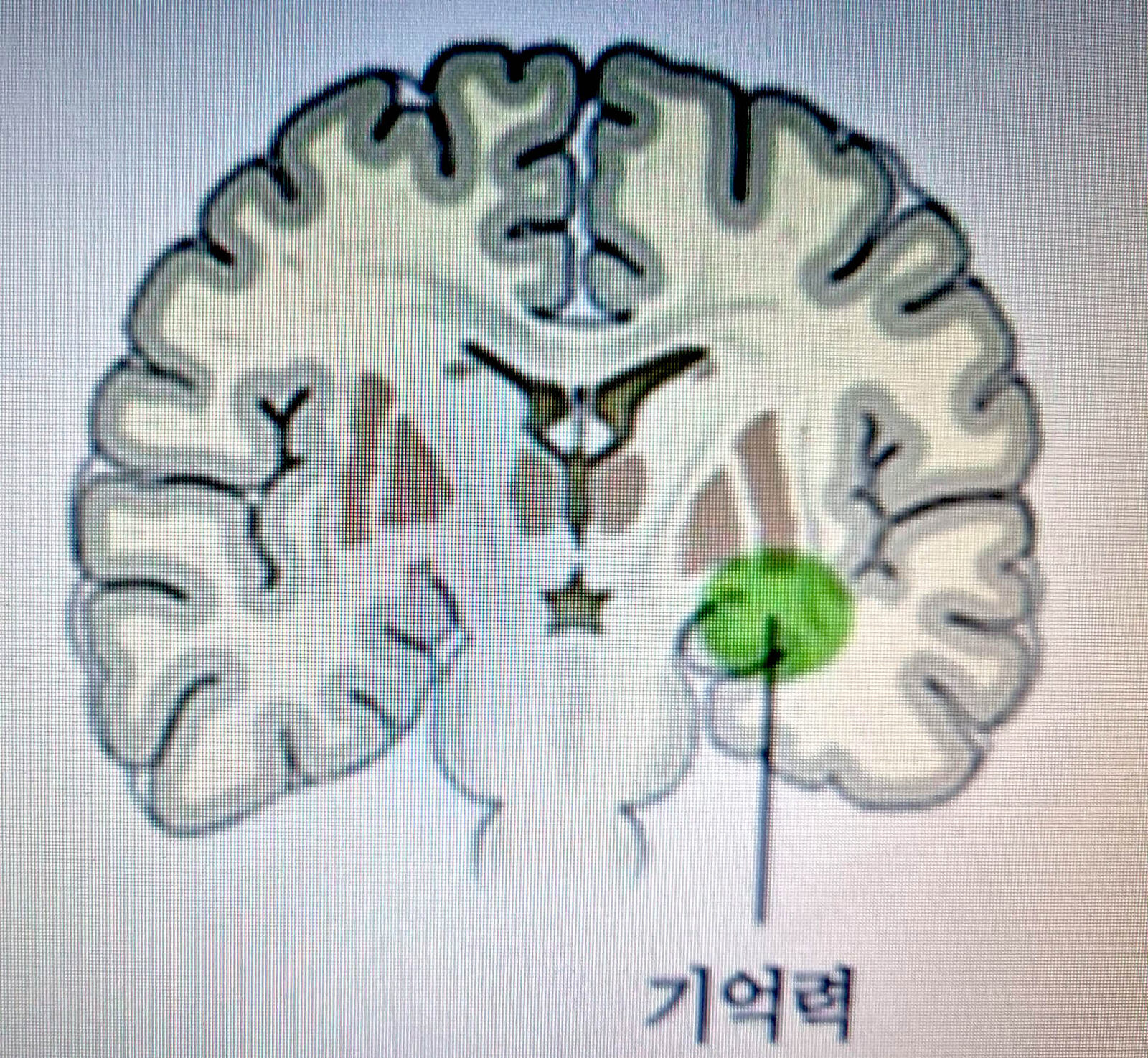 박명윤 박사1.jpg