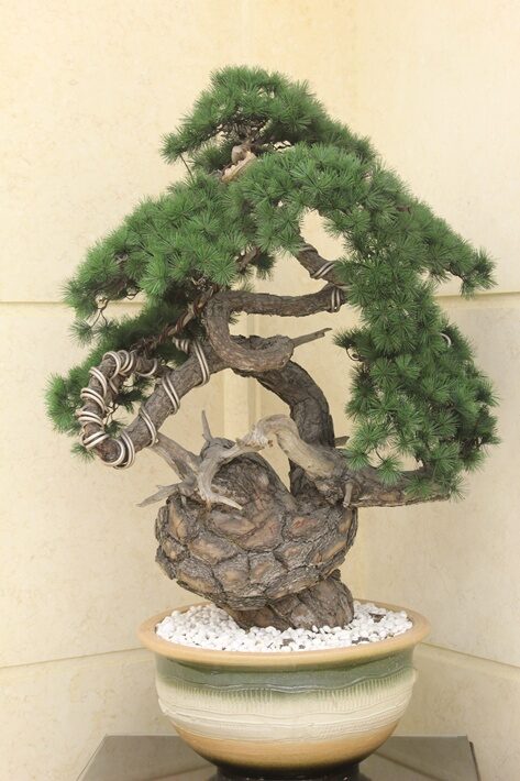 보수교단협의회27차총회 013 복사1.jpg