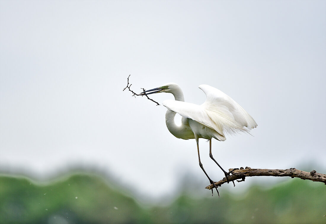 DSC_6573a.jpg