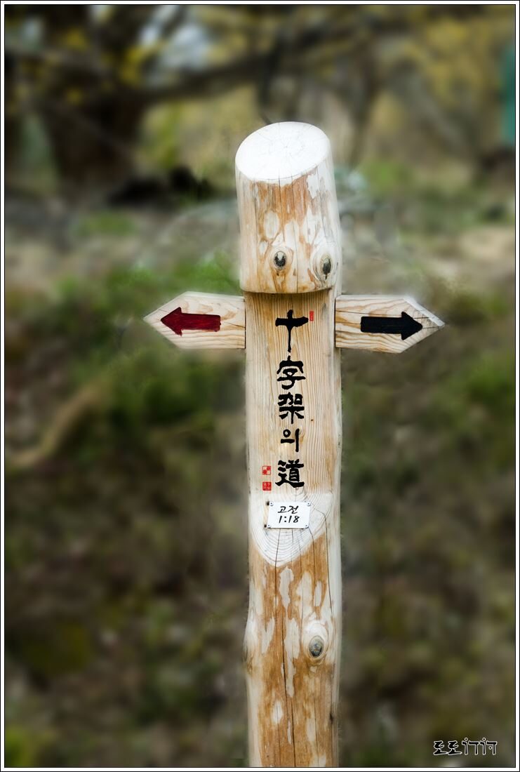 waLSJ_0118-1.jpg