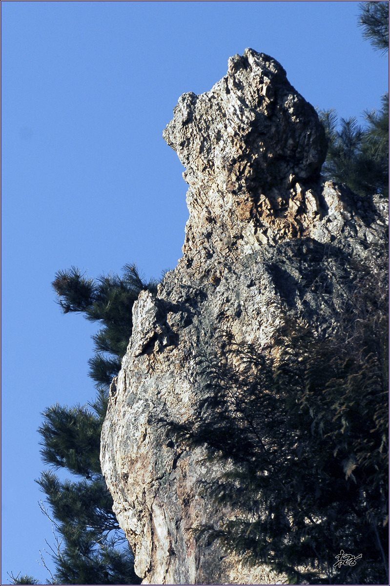 e-a_LSJ6906-1.jpg