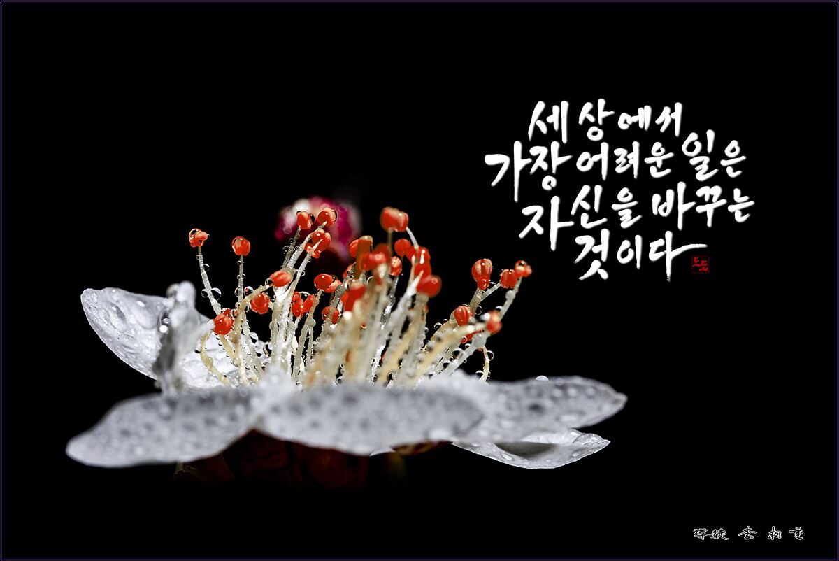 a자신을 바꾸는.jpg