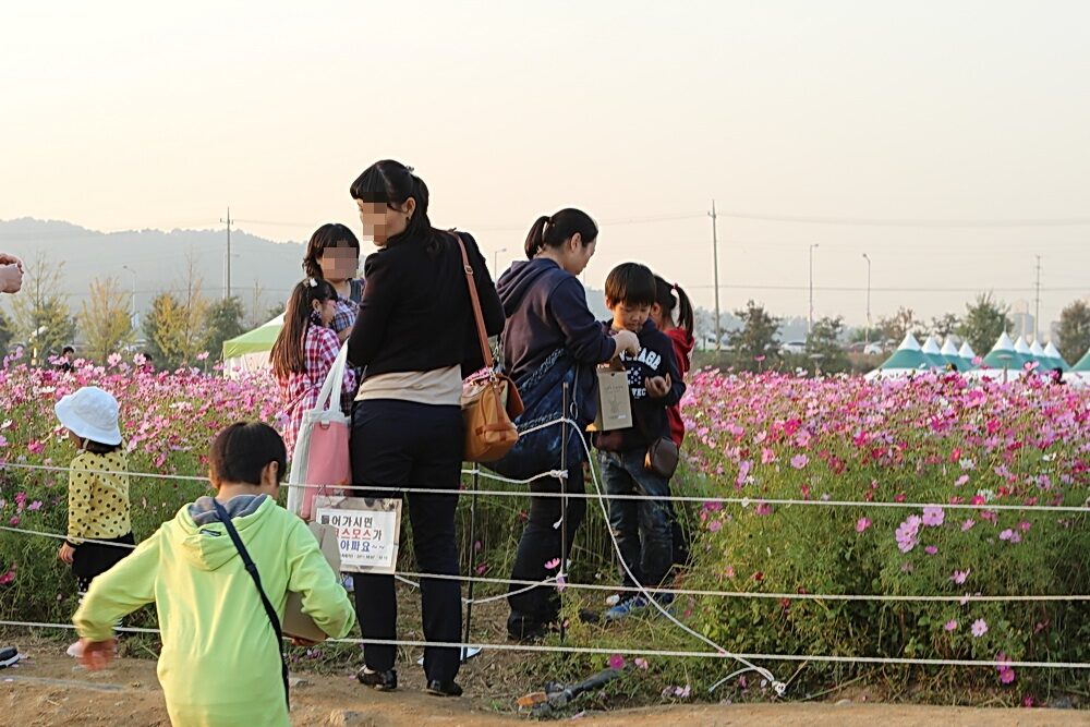 들어가지마세요01 모자이크.jpg