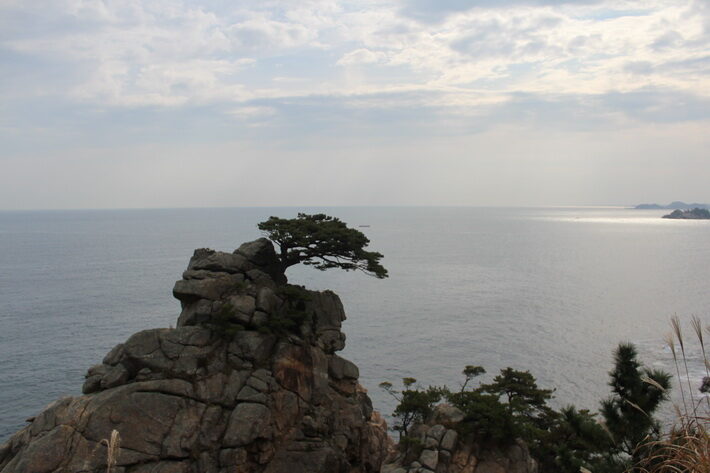 하조대06.jpg