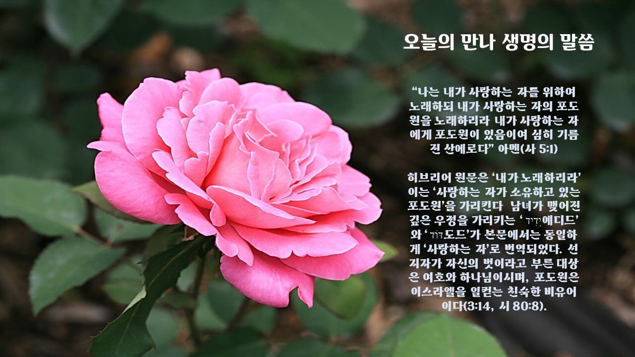 오늘의 만나 생명의 말씀.jpg
