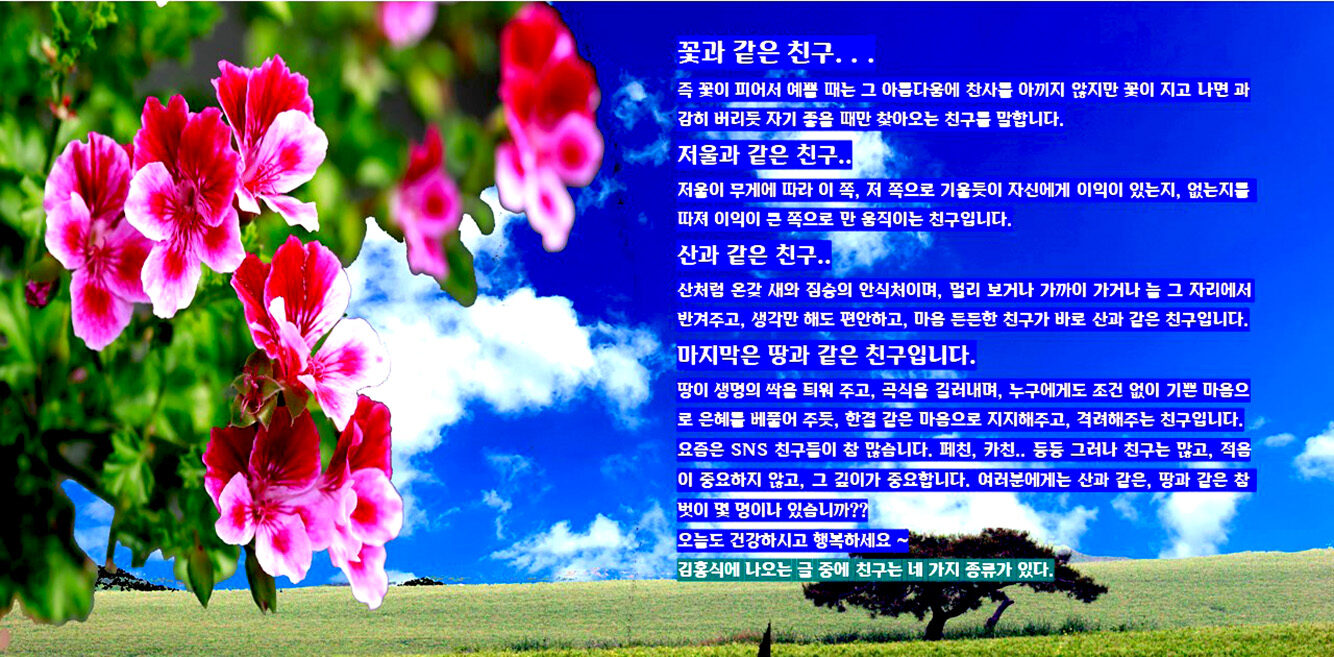 내 가지 종류의 친구.jpg