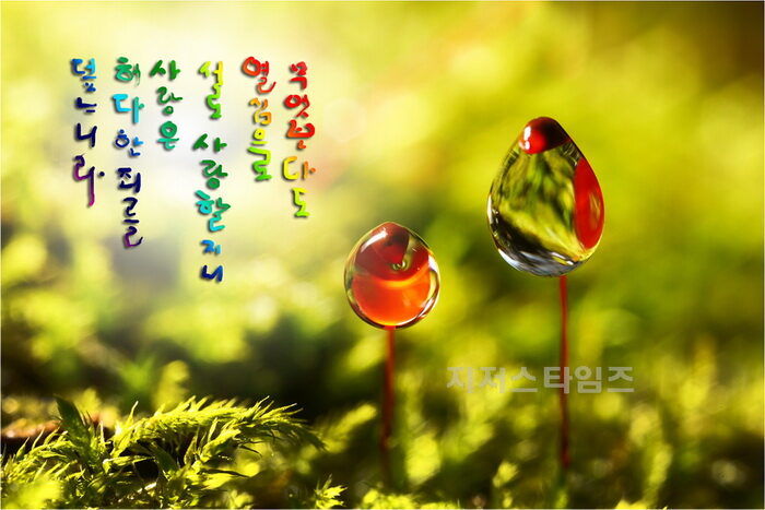 사랑-1s001.jpg