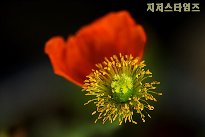 DPP_005801.jpg
